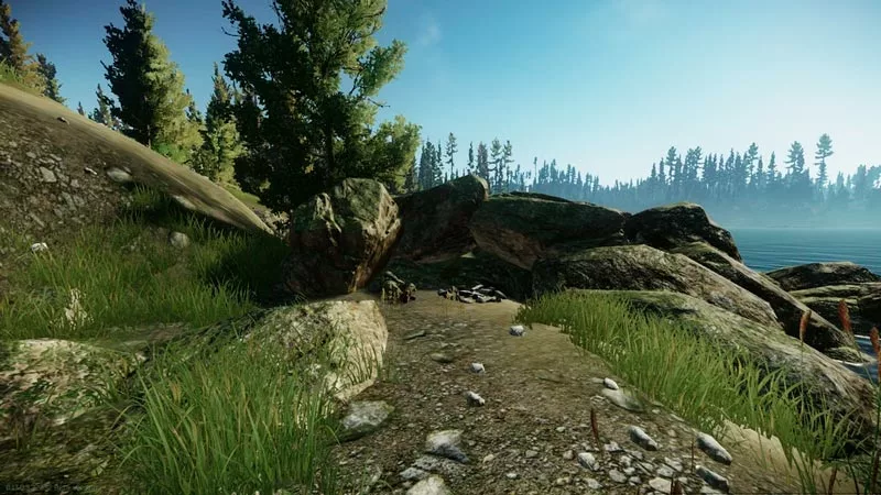 Карта Лес: выходы — Escape from Tarkov